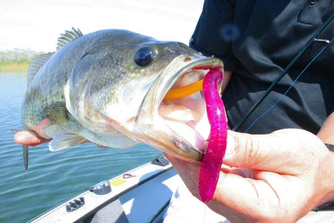 brighten up luster of fishing lures Flaming Gorge Lake Trout Kit 10 – Flashy Fish Lures Blaze Fishing Gear Hardbait Alumi‐UV is a one‐part se-stones Color:C:Right-Black Rhino-7.2:1