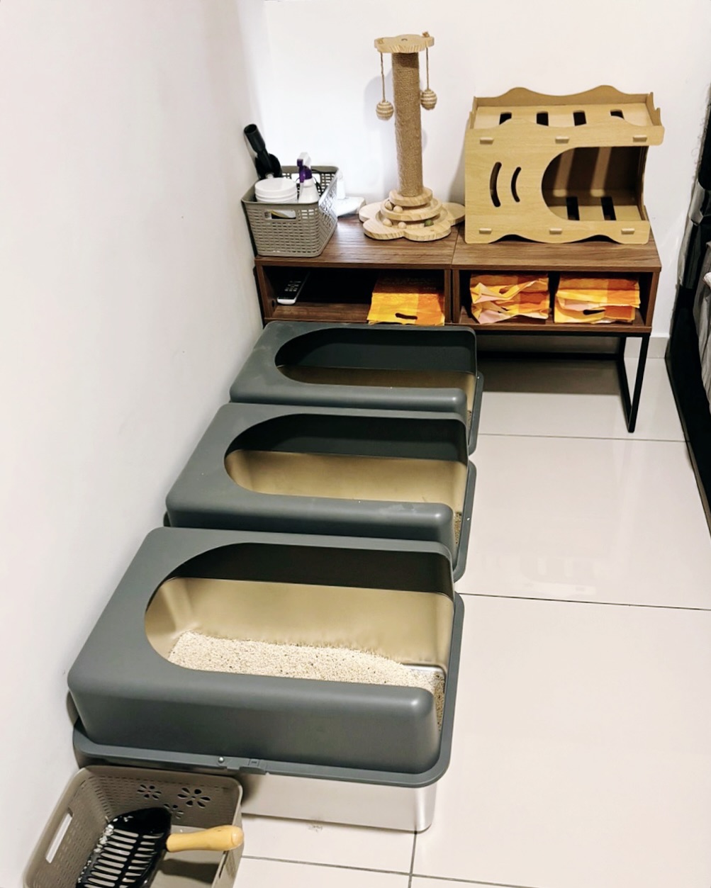 Pottycats - We 🩵🩵🩵 seeing potty rooms! 🚾 We’ve been seeing so many ...