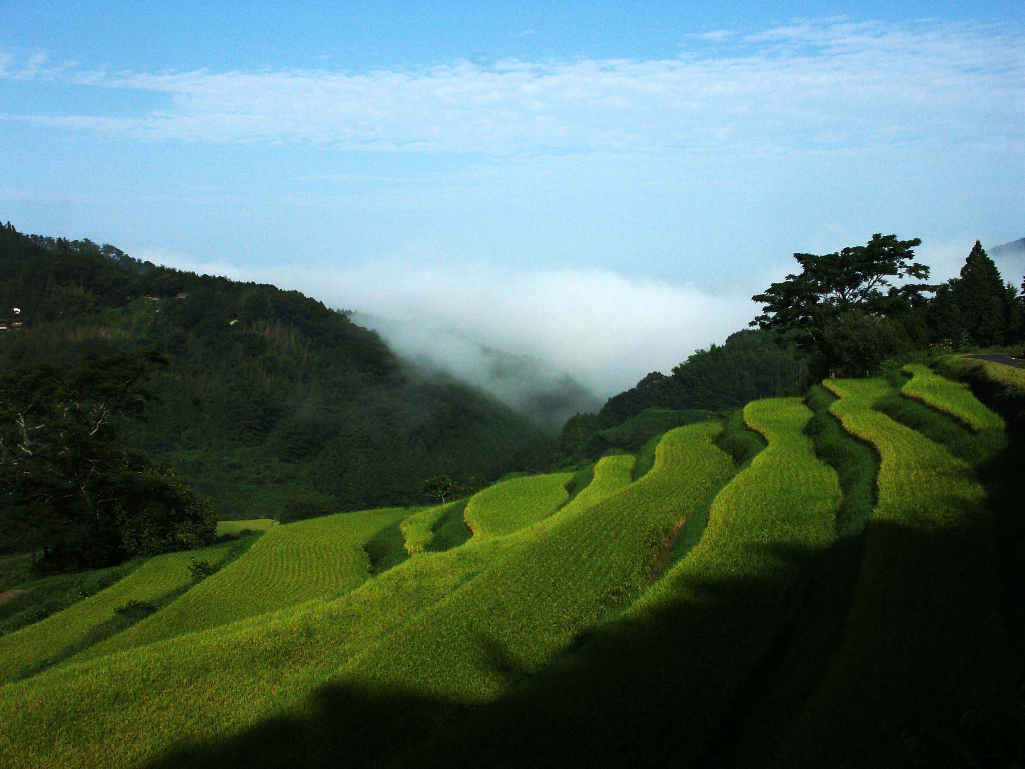 Rice Terraces in... - Okayama Japan Tourist Information | Facebook