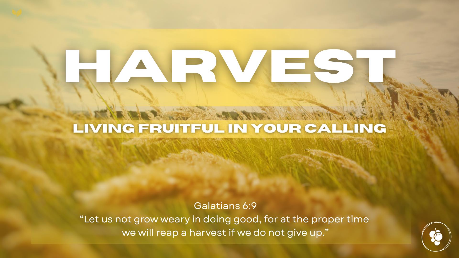 Ridgecrest - 🌾 This Sunday at RVC! 🌾 We’re excited to welcome Dr. Rob ...