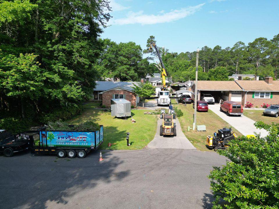 Ultimate Tree Service | Greenville NC