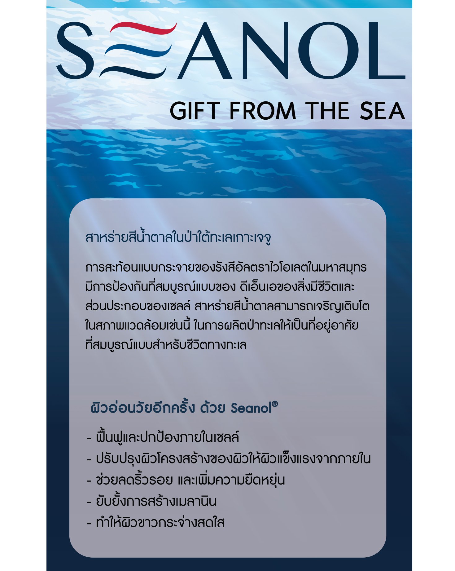 Seanol Thailand - SEANOL เป็นคำผสม ระหว่าง ทะเล (sea)... | Facebook