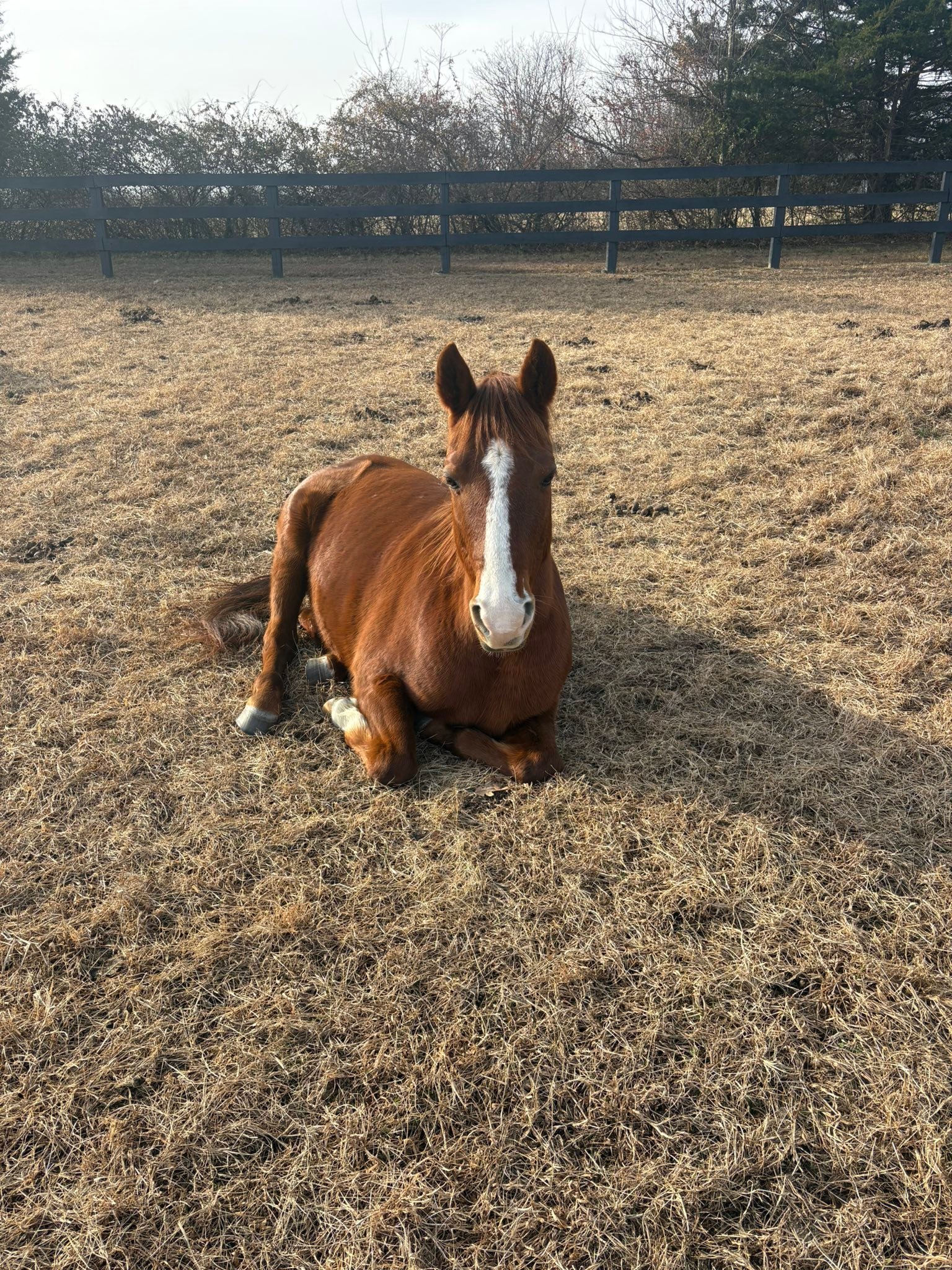 Monarch Equestrian Center | Banner Elk NC