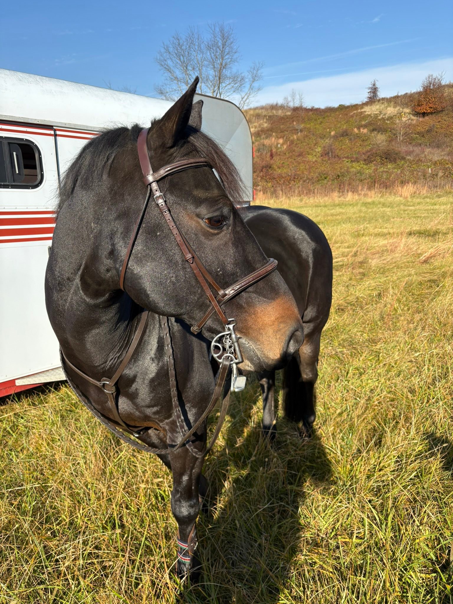 Monarch Equestrian Center | Banner Elk NC