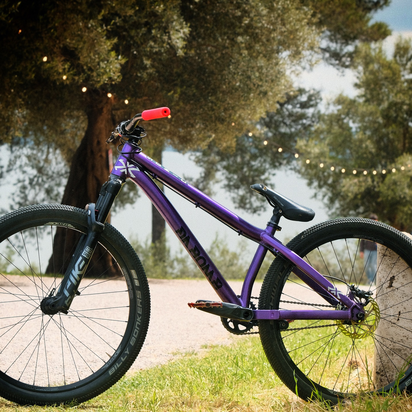 BMX Bike Frame Color: Oil Slick or Purple