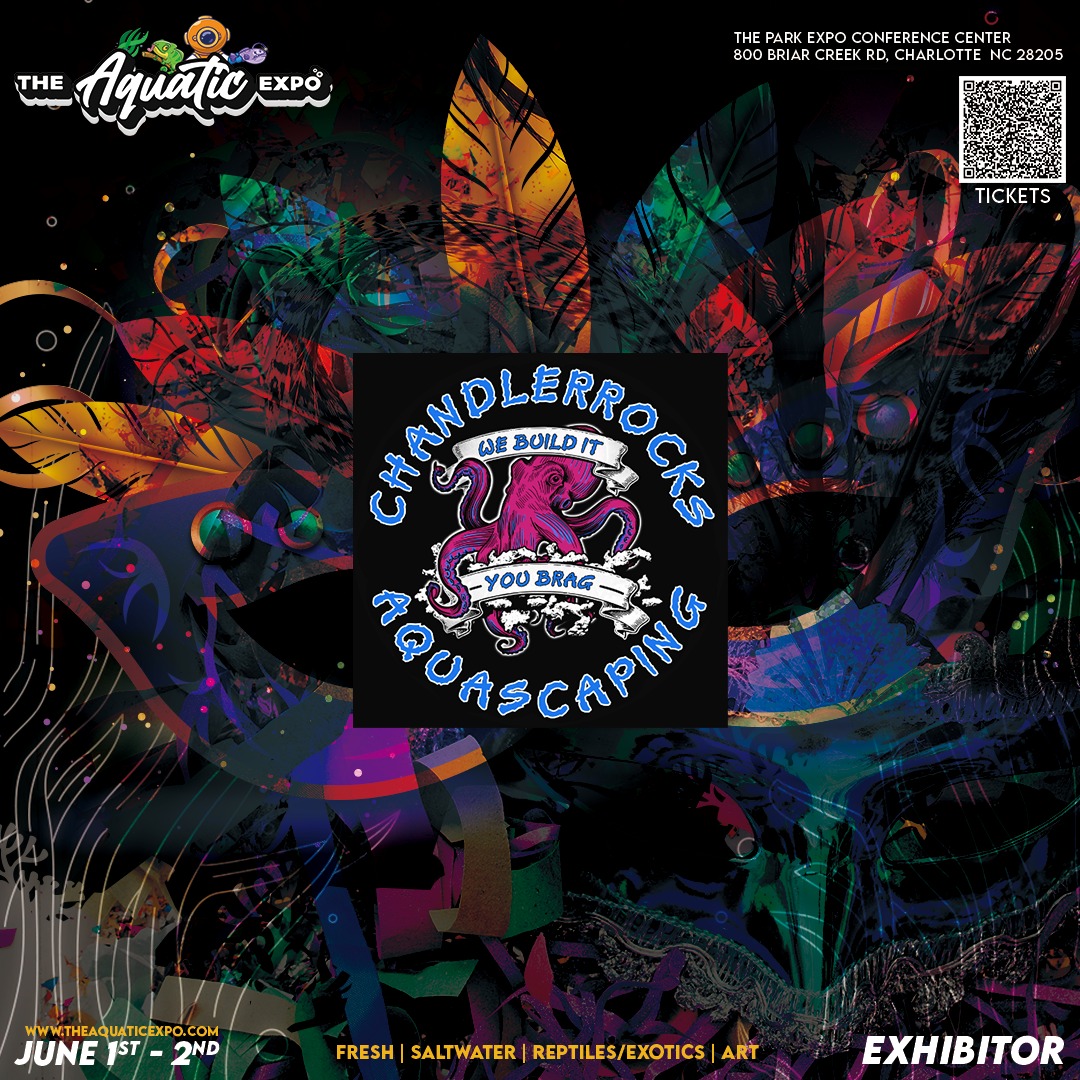 Chandlerrocks