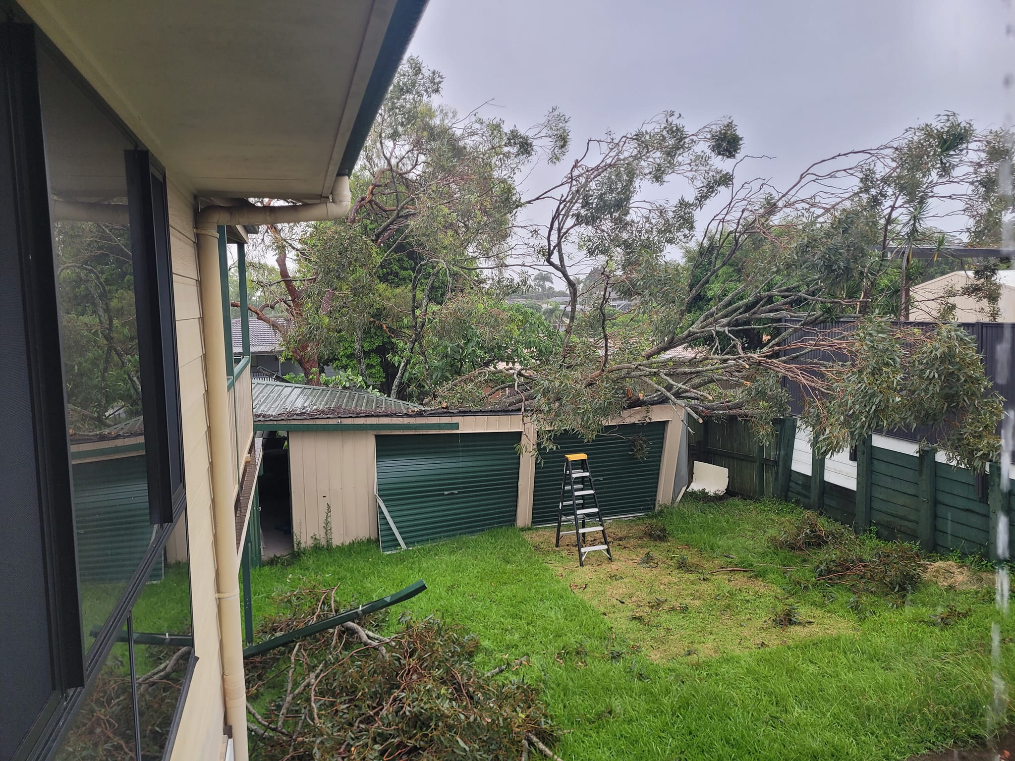 SafeWay Tree Service | Brisbane QLD