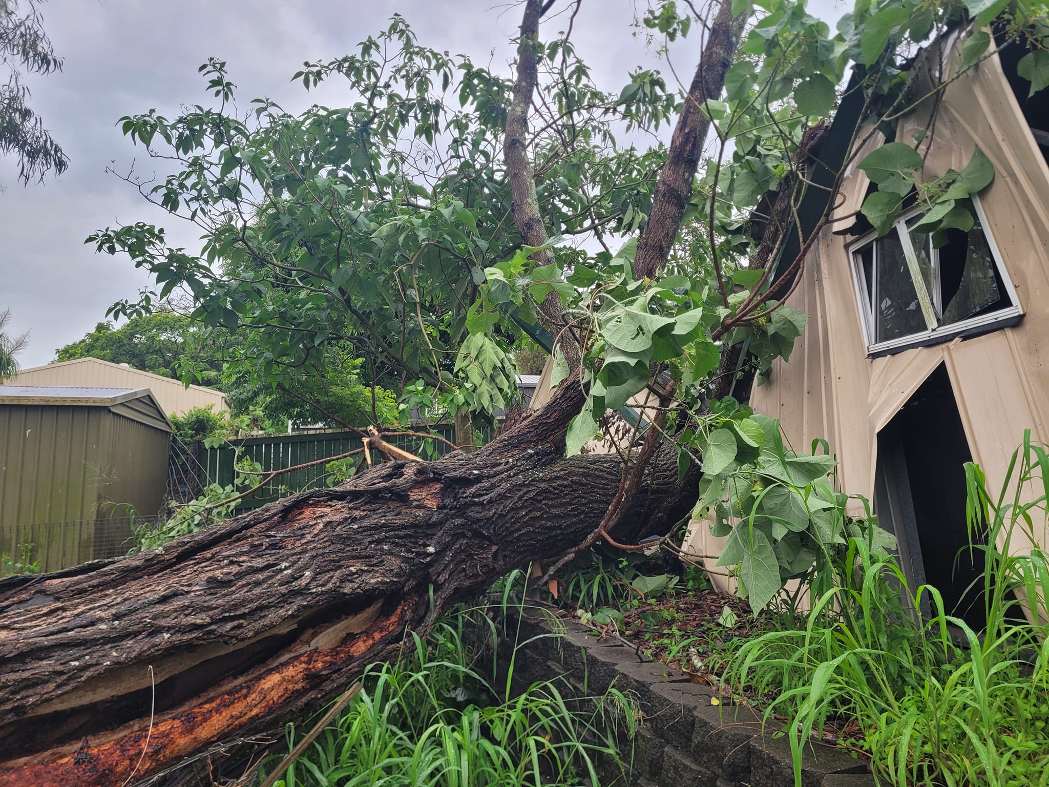 SafeWay Tree Service | Brisbane QLD