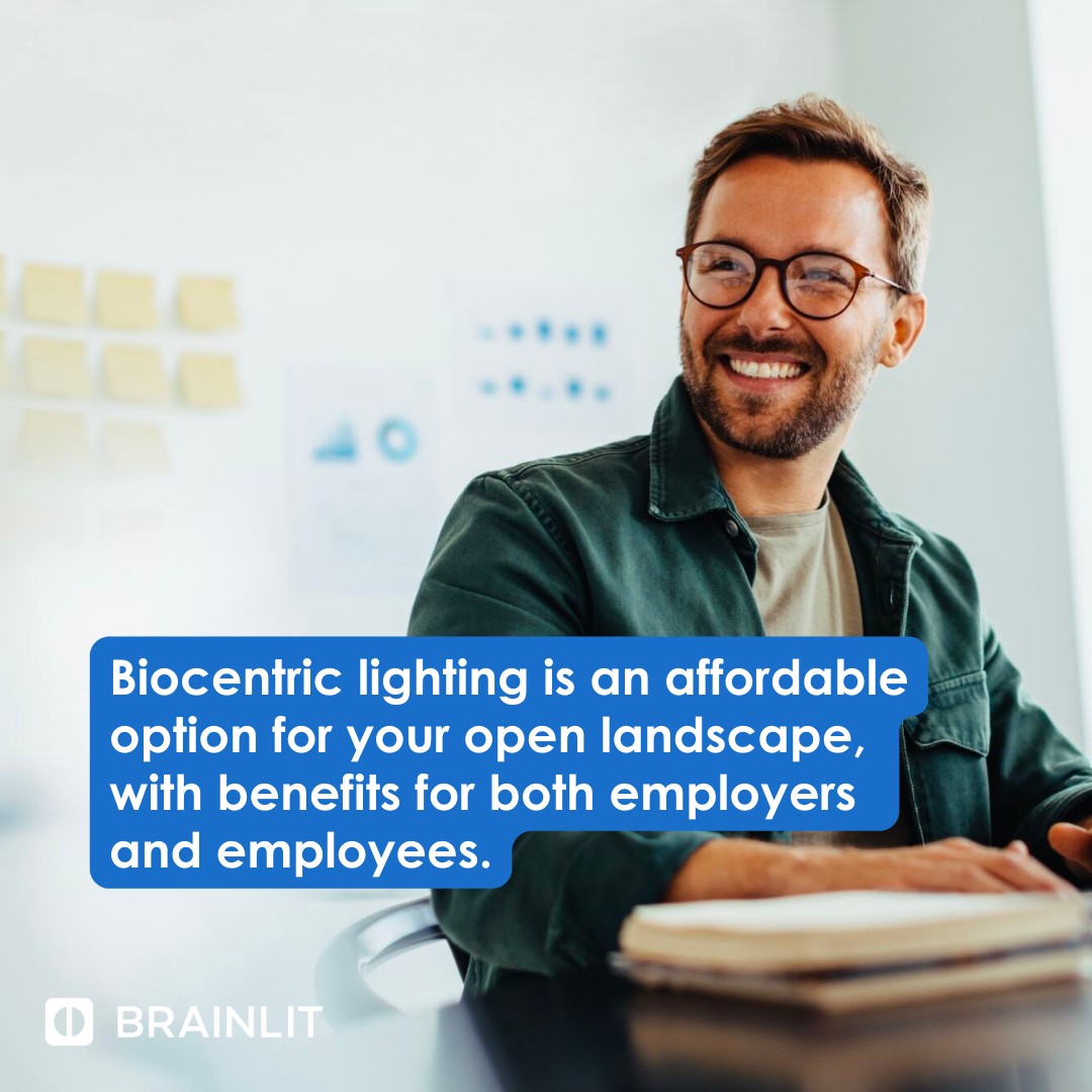 BrainLit Global