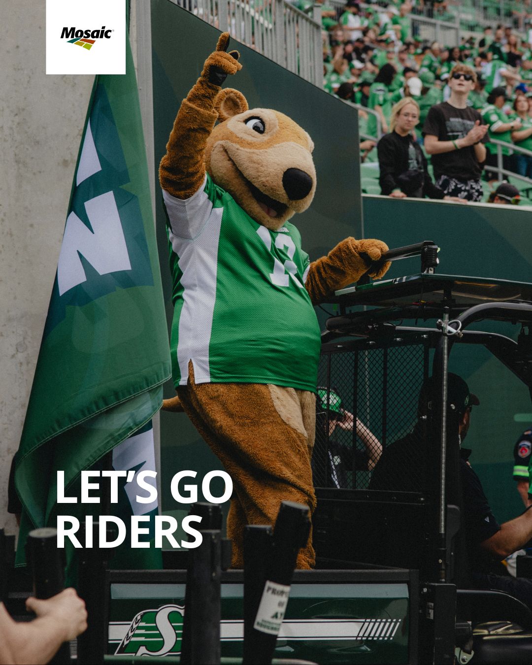 🏈💚 Let’s Go Riders! 💚🏈... - The Mosaic Company - Canada | Facebook
