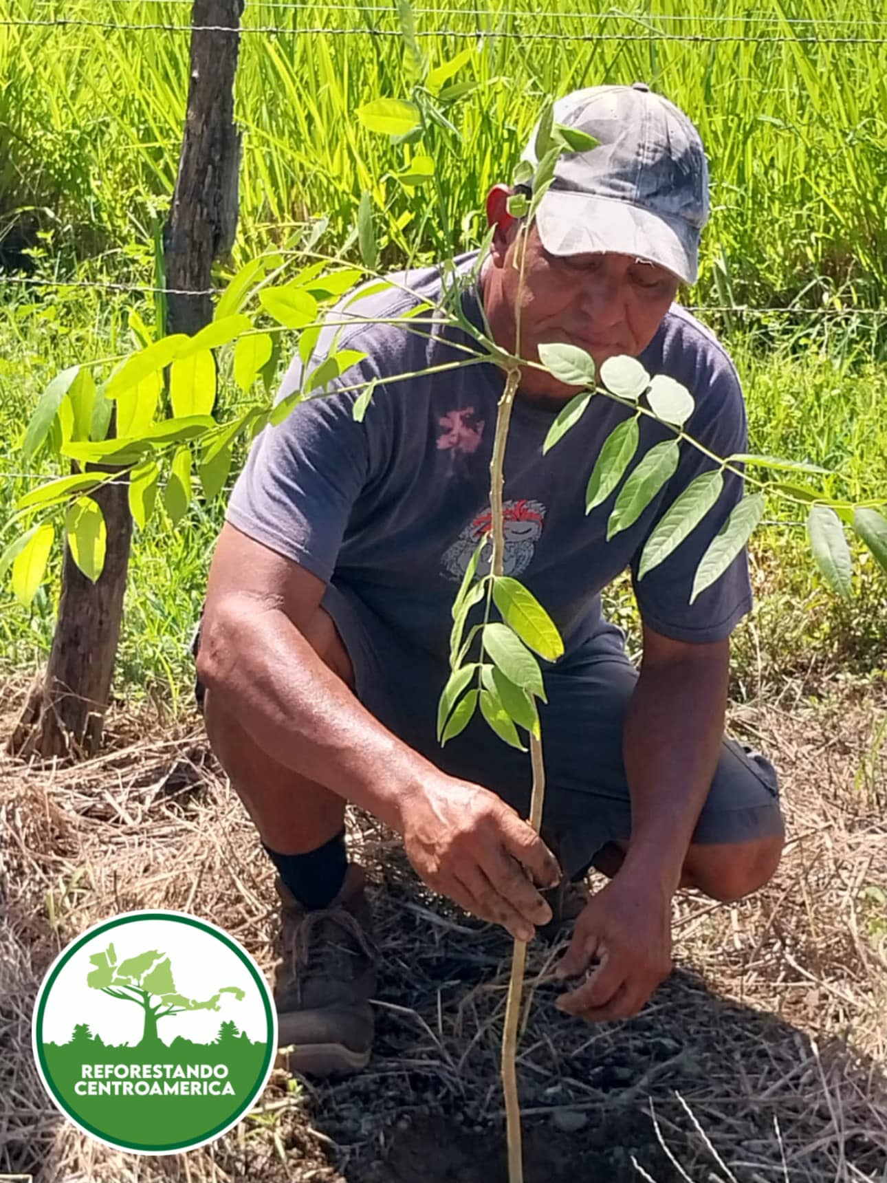 Reforestando Centroamerica... - Reforestando Centroamerica