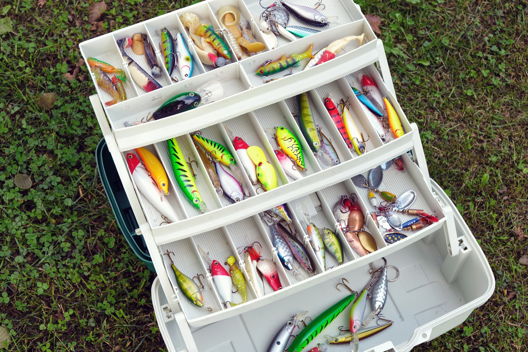 hookup tackle bento box Father's Day 2026 Deal – The Hook Up The TRUTH behind the Hookup