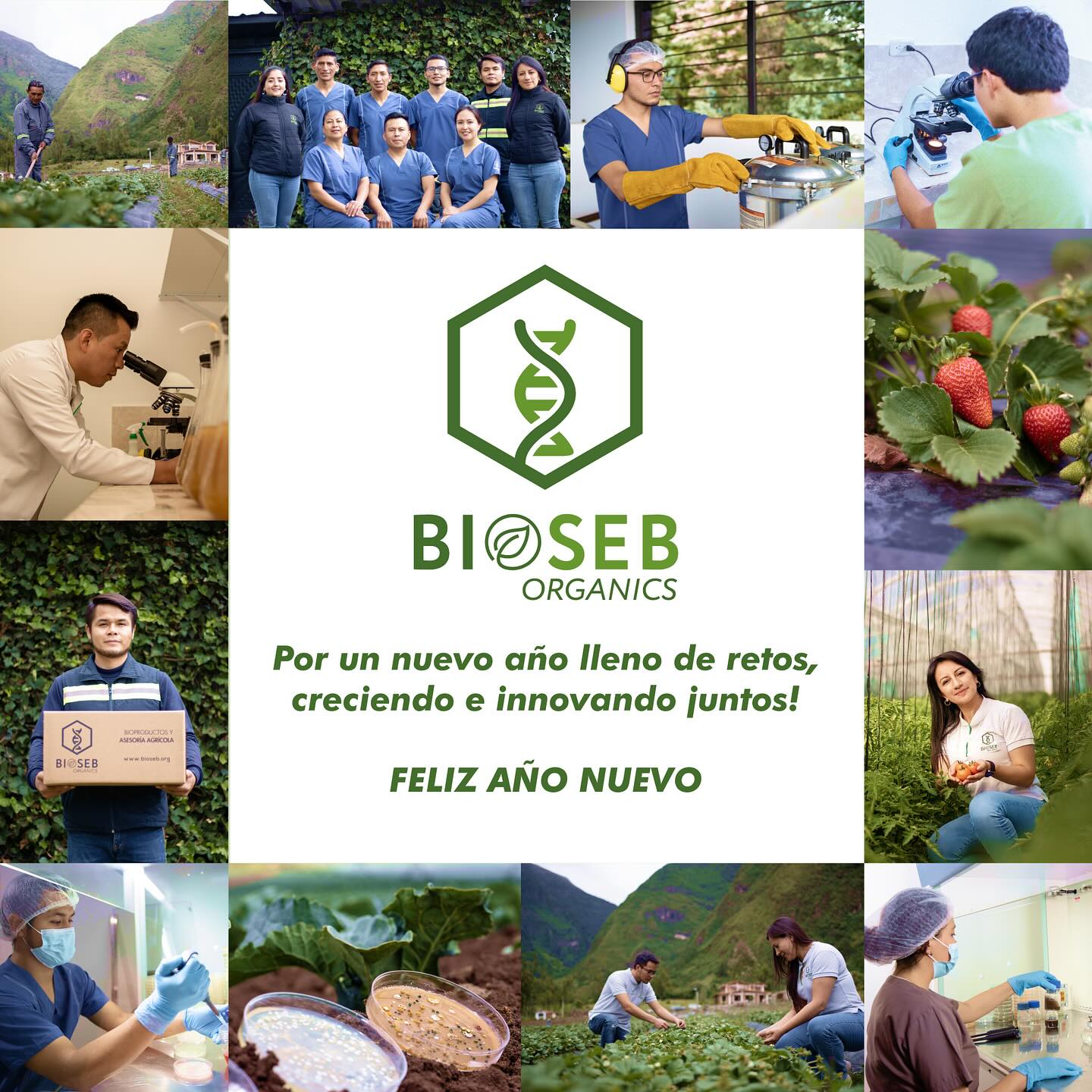 BioSeb Organics | Ambato