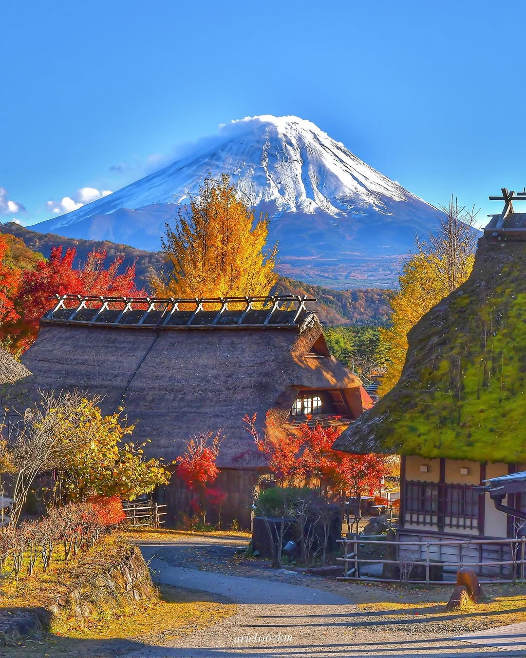 Embajada del Japón en México - #AprendiendoJaponés La traducción de ...
