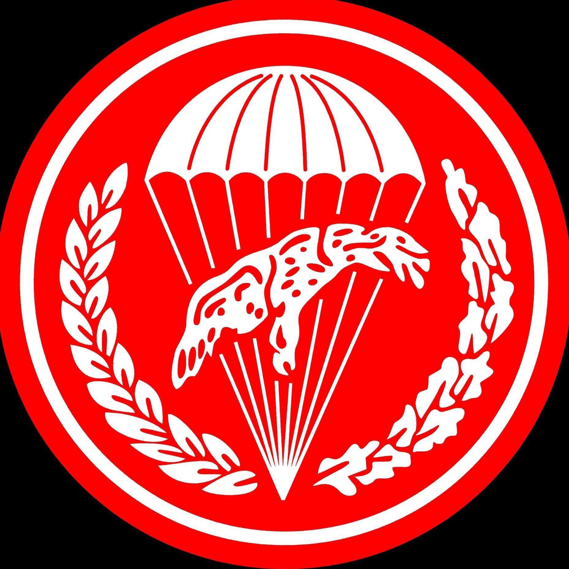 16 Batalion... - 16 Batalion Powietrznodesantowy