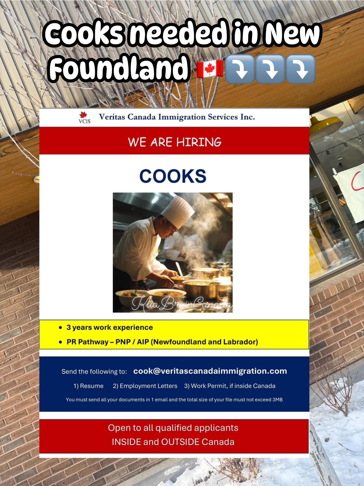 Kua - Cooks needed in NewFoundland see post how to apply ⤵️⤵️⤵️ | Facebook