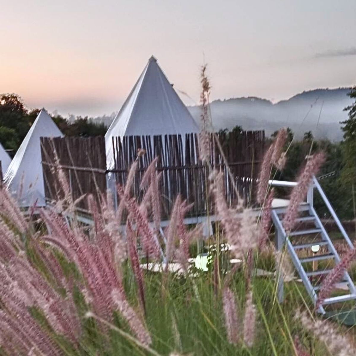 Yellowstone Camps O2 Zone Khao Kho | Khao Kho