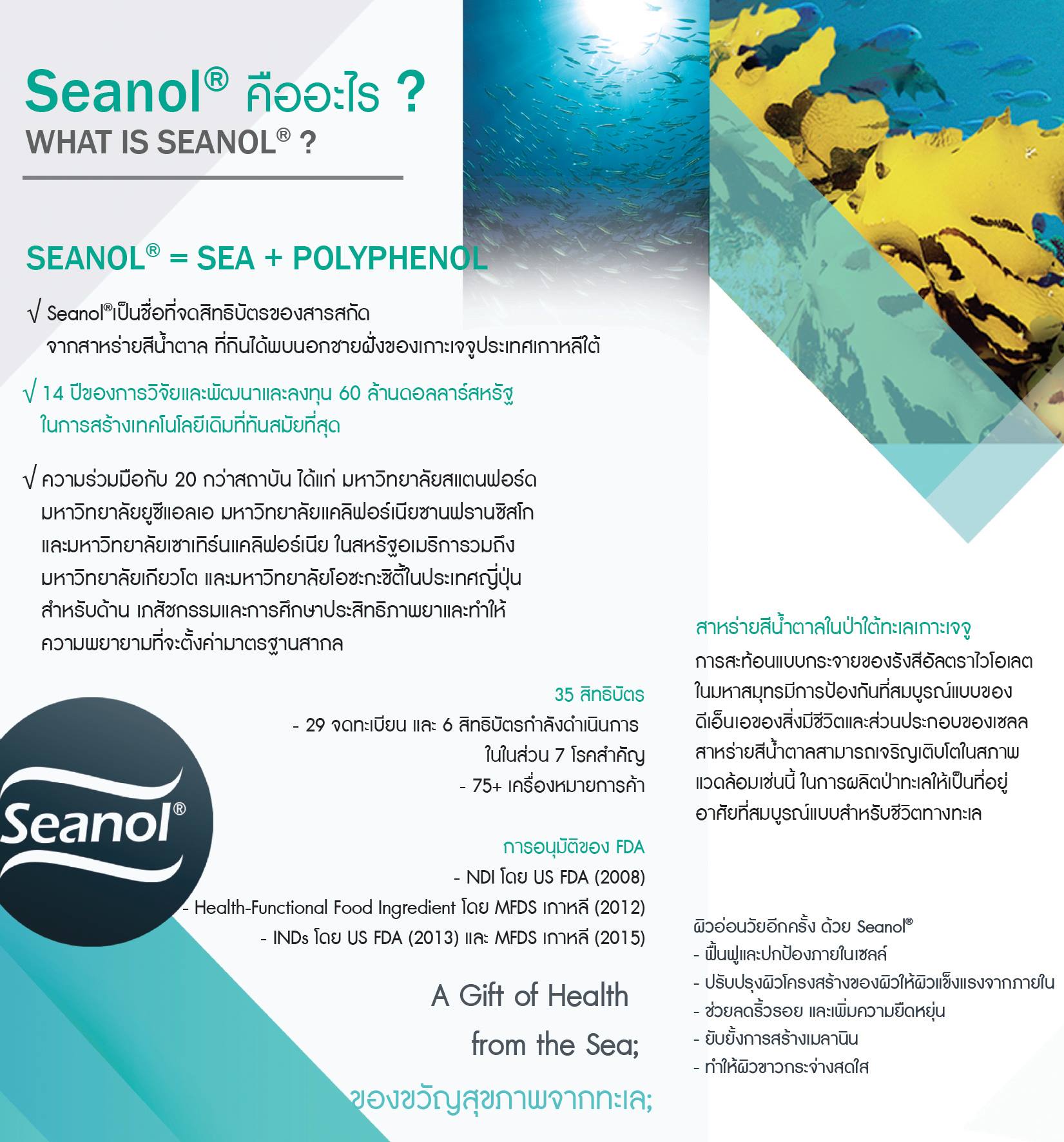 Seanol Thailand - Seanol คืออะไร ? ของขวัญสุขภาพจากทะเล;...