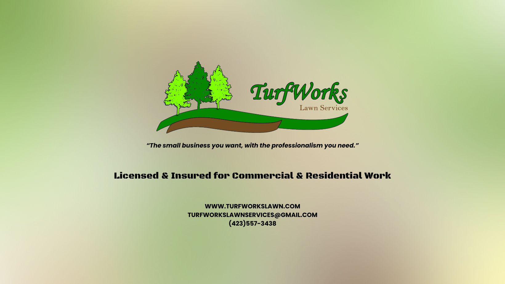 TurfWorks Lawn Services