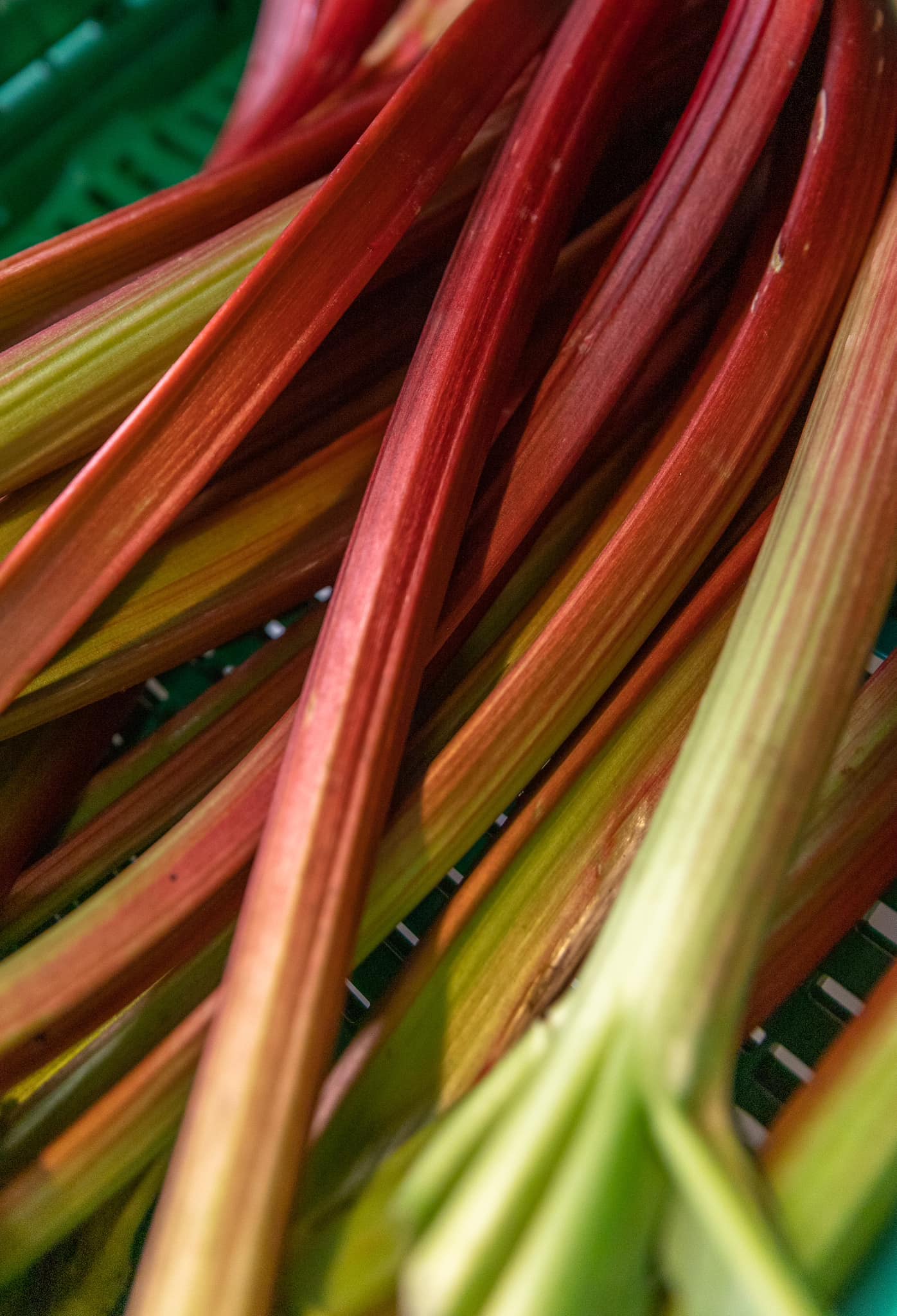 Bure Märt Sissach - Federkohl jetzt am Bure-Märt Sissach zu kaufen ...