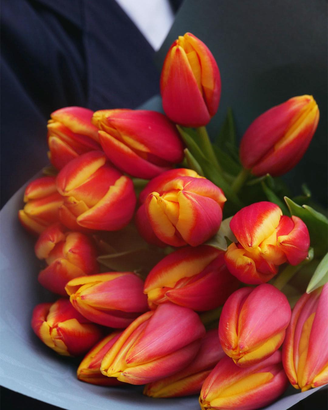 New York... - New York Flower Group - Dutch Flower Line