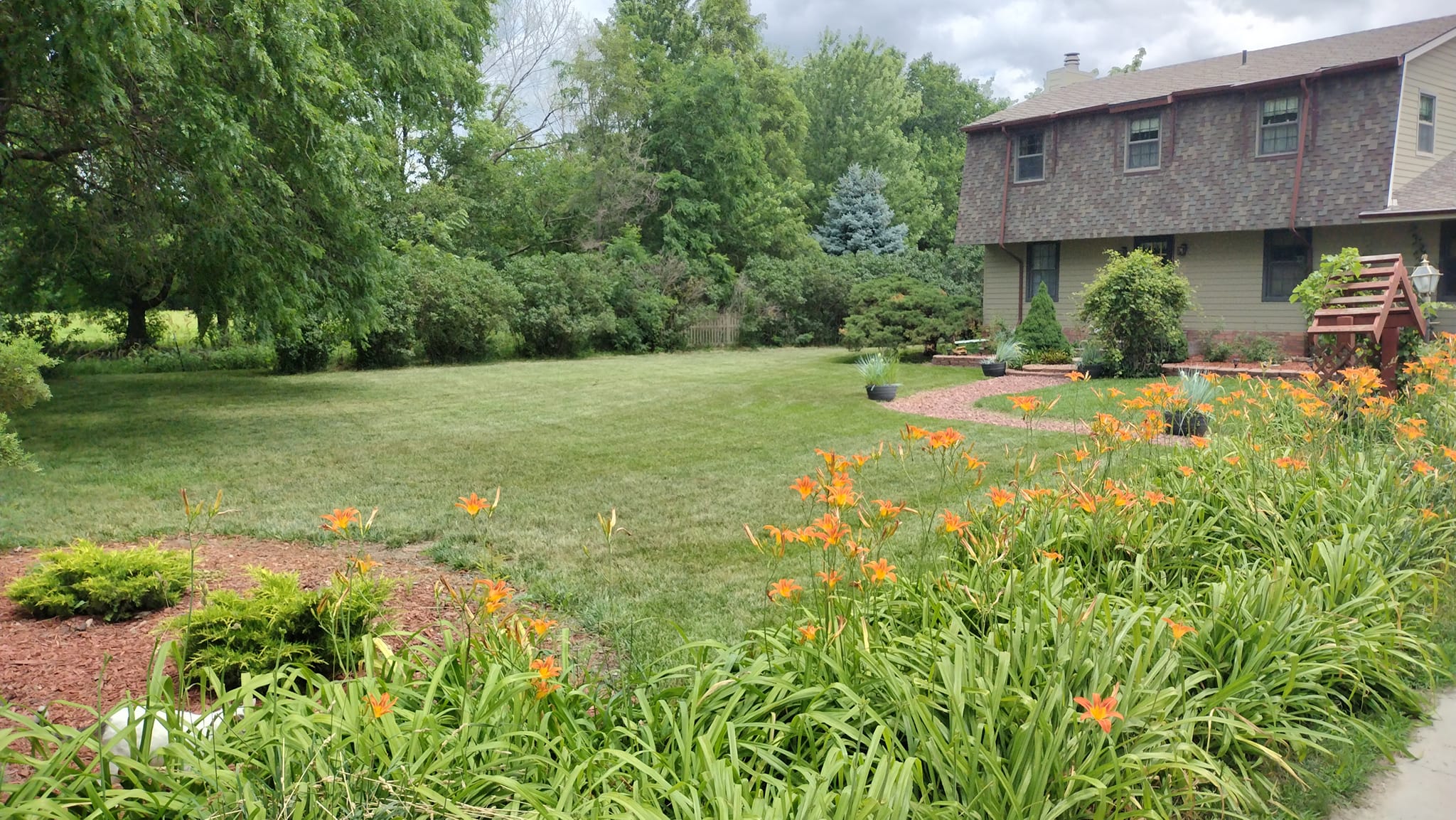 Dragon & Son Lawn care service | Lincoln NE