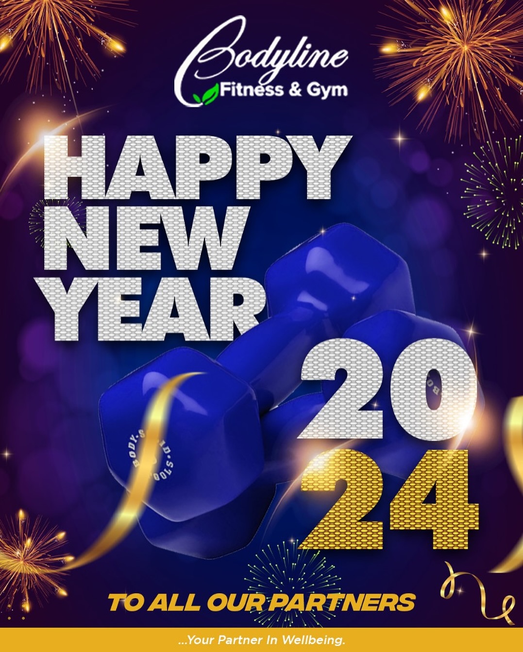 Bodyline Fitness and Gym Abuja | Abuja