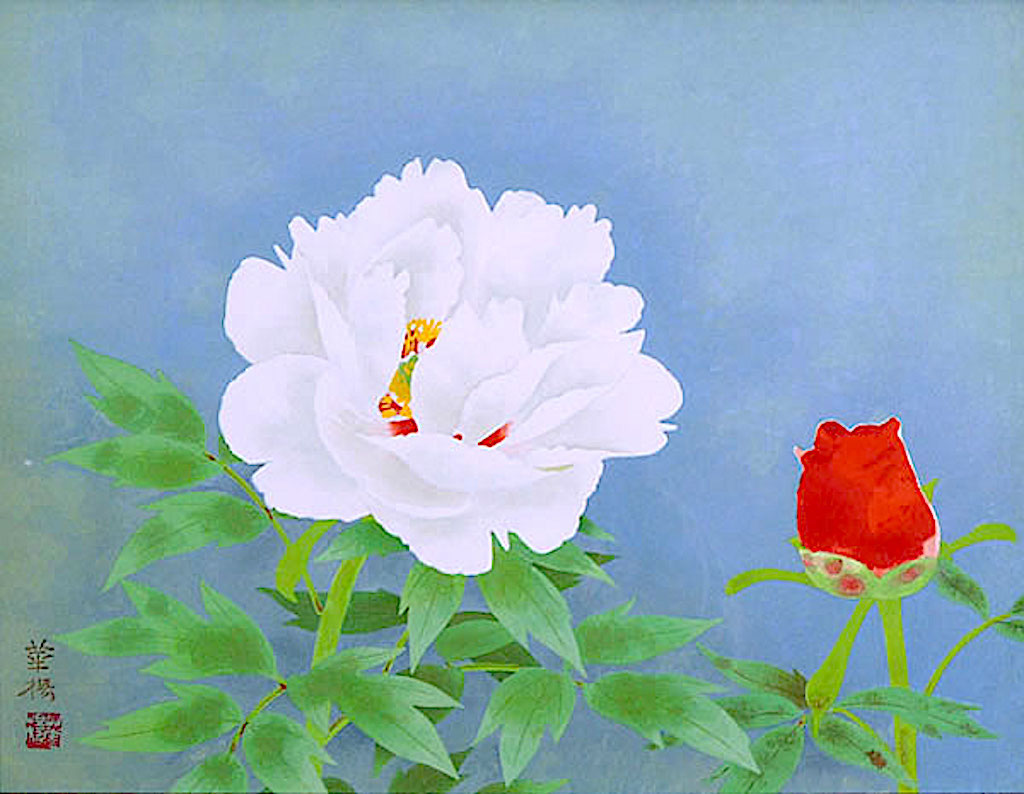 【牡丹とpeony】昭和日和その弐 牡丹とpeony】昭和日和その弐 牡丹とpeony】昭和日和その弐 Peacock