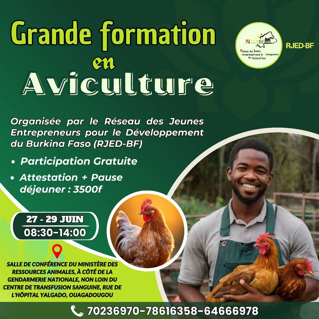 𝐋𝐞 𝐑é𝐬𝐞𝐚𝐮 𝐝𝐞𝐬 𝐉𝐞𝐮𝐧𝐞𝐬 𝐄𝐧𝐭𝐫𝐞𝐩𝐫𝐞𝐧𝐞𝐮𝐫𝐬 𝐩𝐨𝐮𝐫 𝐥𝐞 𝐃é𝐯𝐞𝐥𝐨𝐩𝐩𝐞𝐦𝐞𝐧𝐭 𝐝𝐮 𝐁𝐮𝐫𝐤𝐢𝐧𝐚 ...