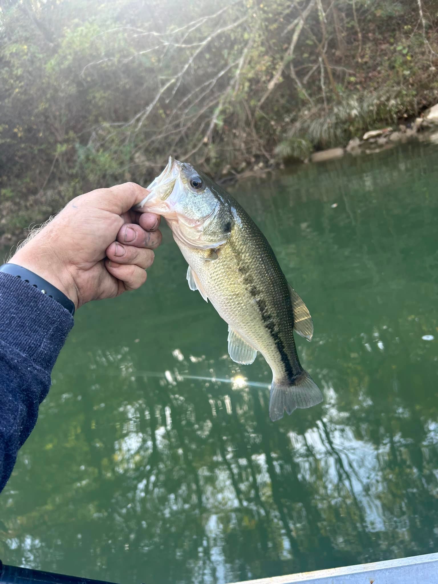 Lip Rippers