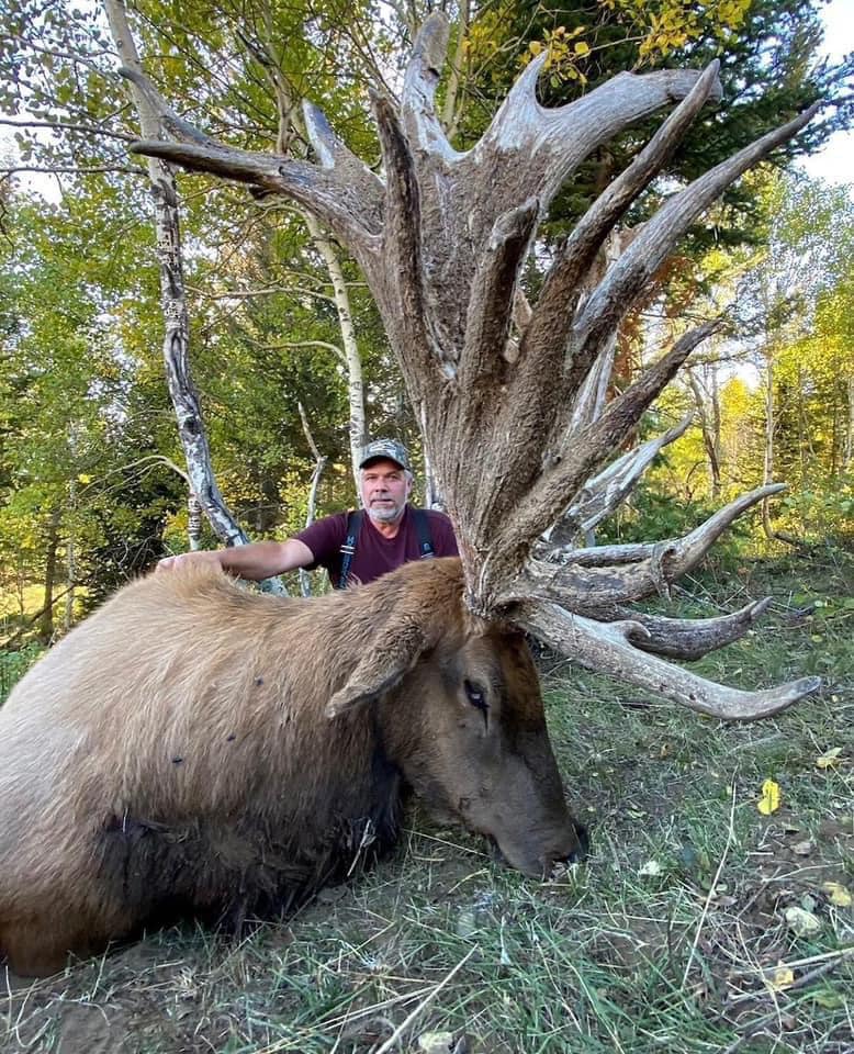Animals Life - The SCI world record bull coming in at... | Facebook
