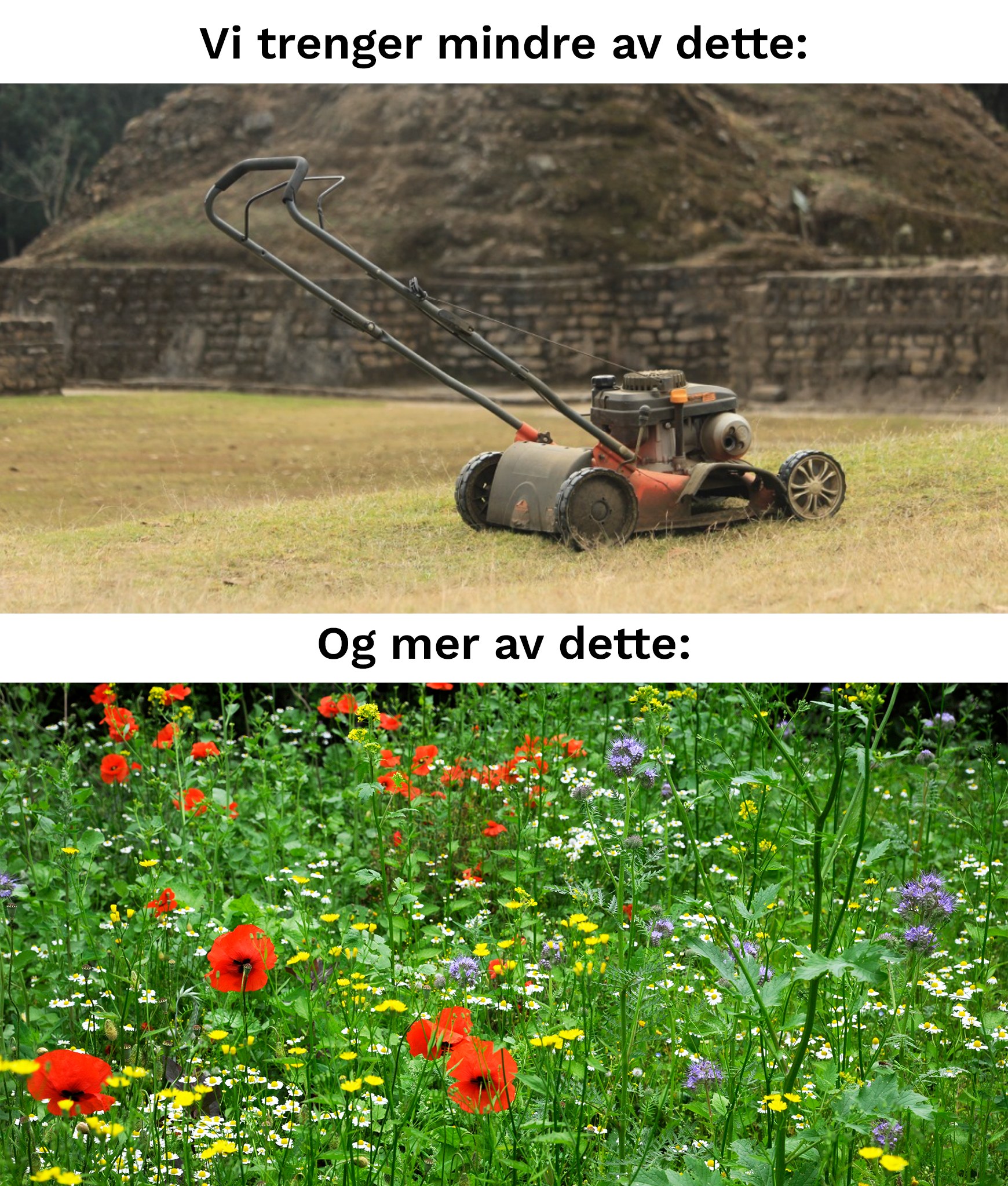 Greenpeace - Det er verdensdagen for biologisk mangfold! 💚⁣ ⁣⁣ Visste ...