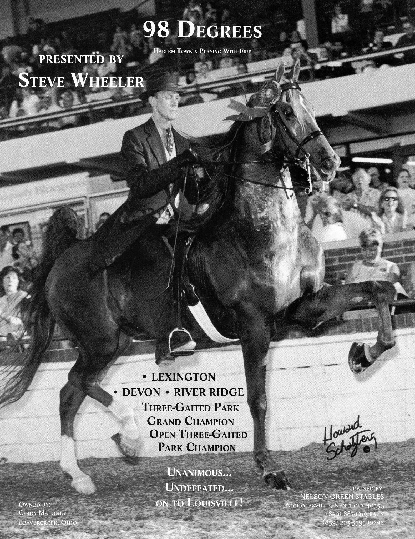 Steve Wheeler riding 98 Degrees to championship wins