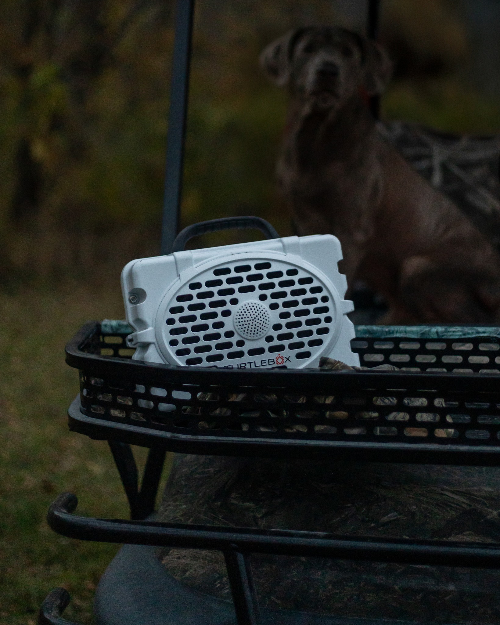 Scheels - Adventure sounds better with Turtlebox. Rugged,... | Facebook