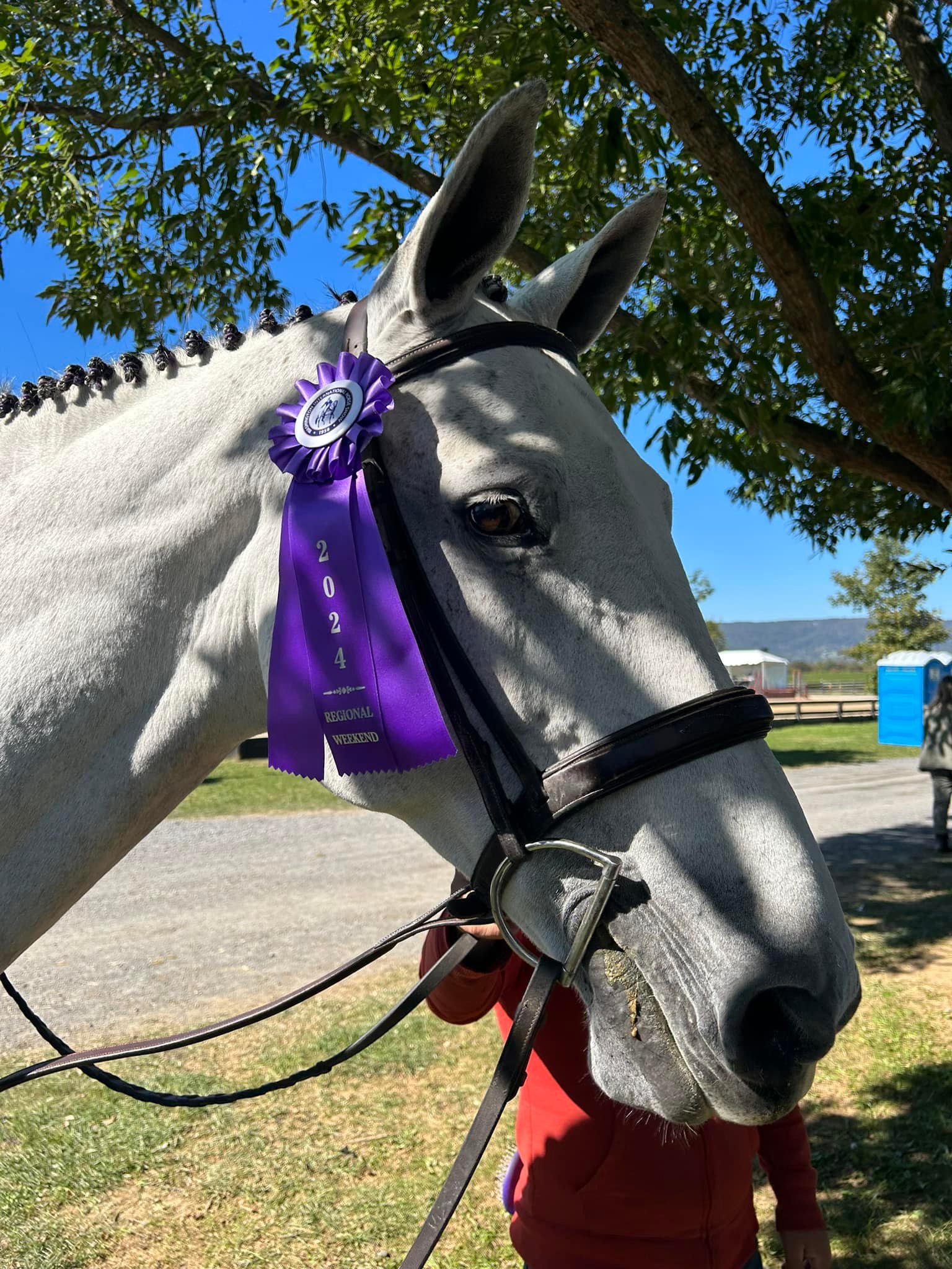 🌼Spring is in the Air 🌺 Top 10 USEF Hunter Breeding Stallion