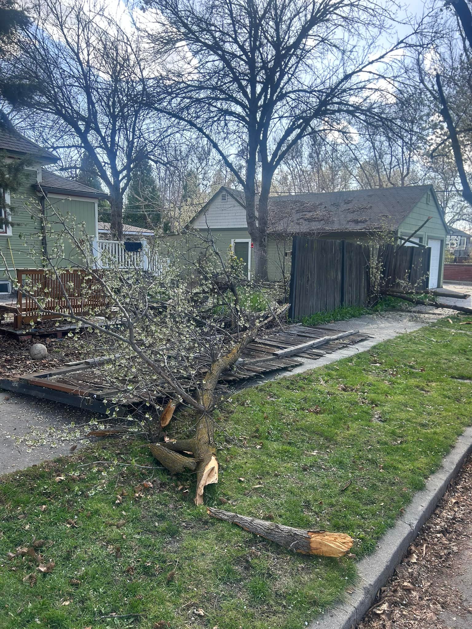 Apex Tree Service LLC