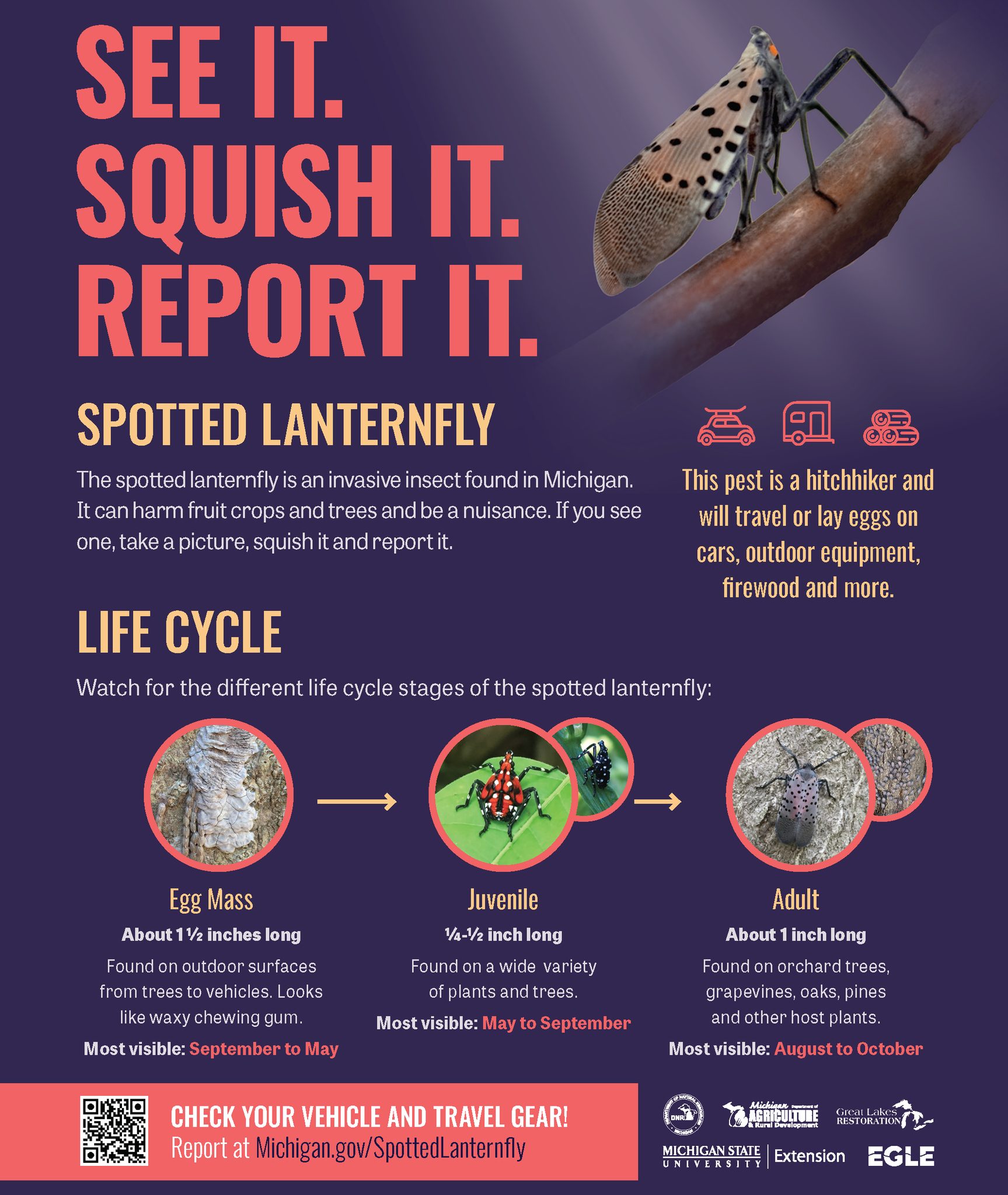 Prevent Pests - 🚨 Attention Michigan residents! The...