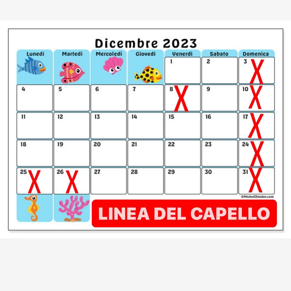 Linea del capello | Altamura