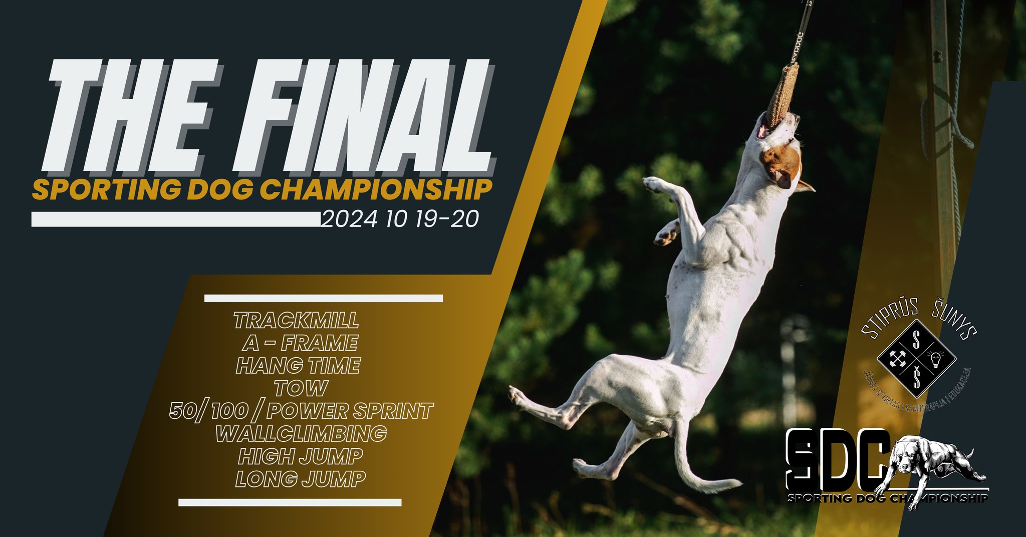 THE FINAL - Sporting Dog Championship