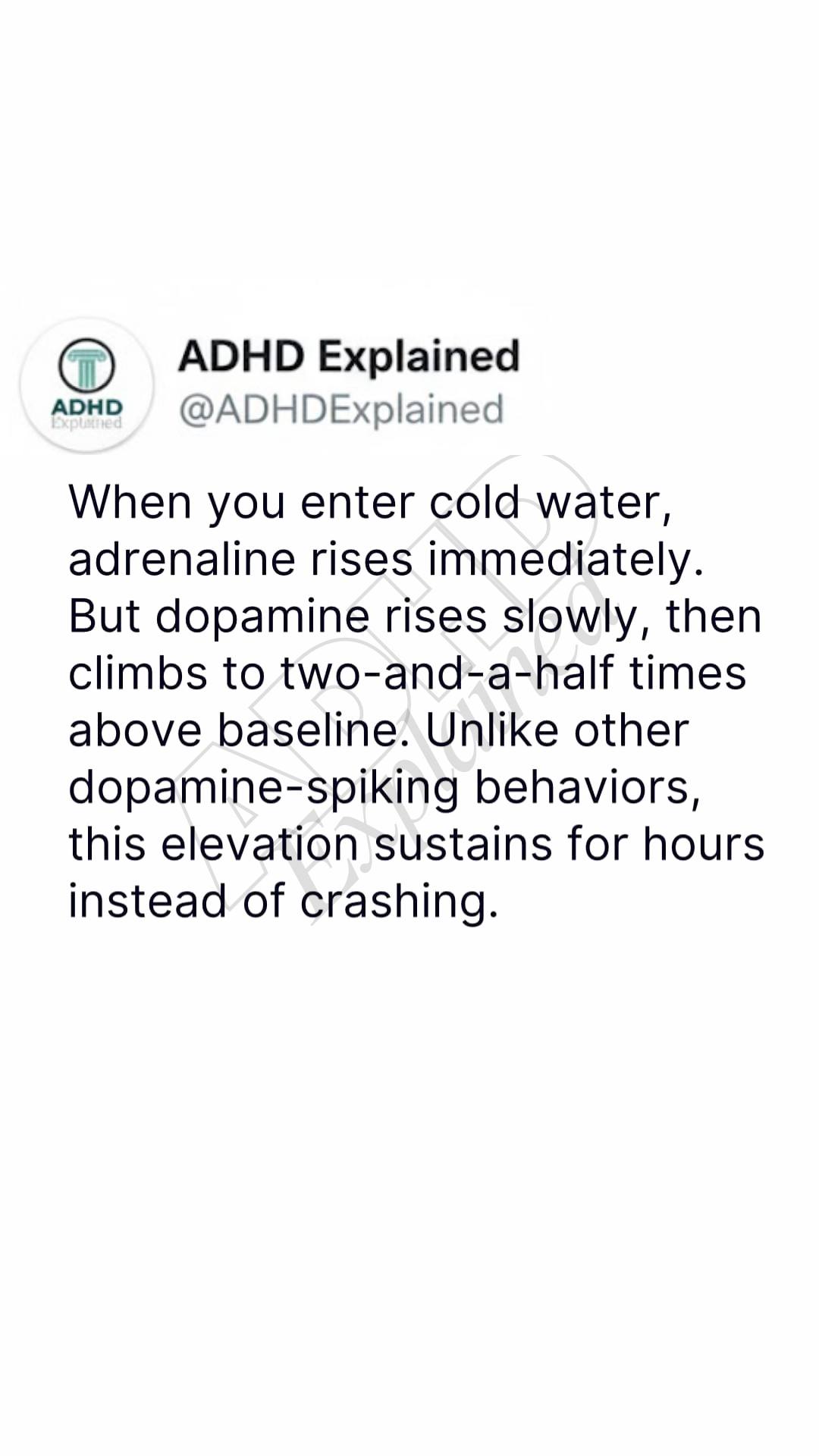 ADHD | When the World Was Never Built for the Way Your Mind Works ...