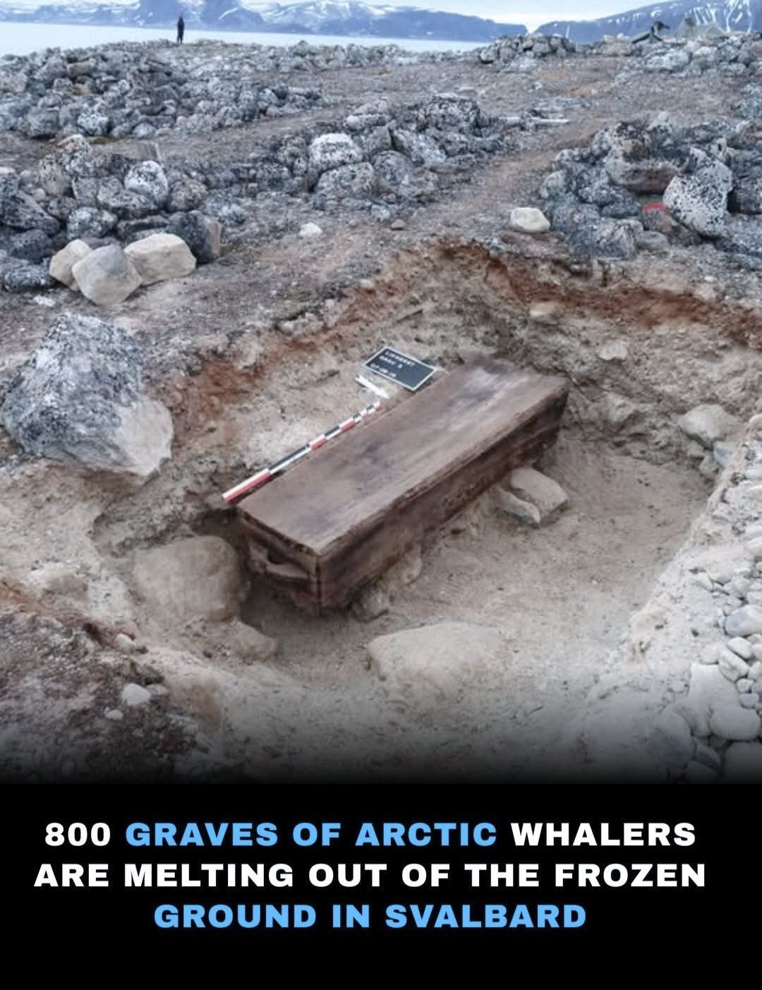 Archaeology & Civilizations | On a remote island in Norway’s Svalbard ...