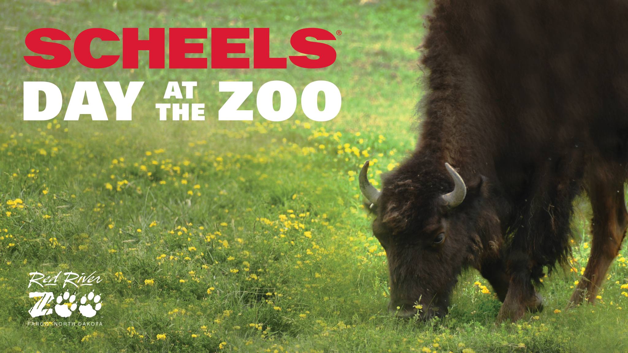 SCHEELS Day at the Zoo