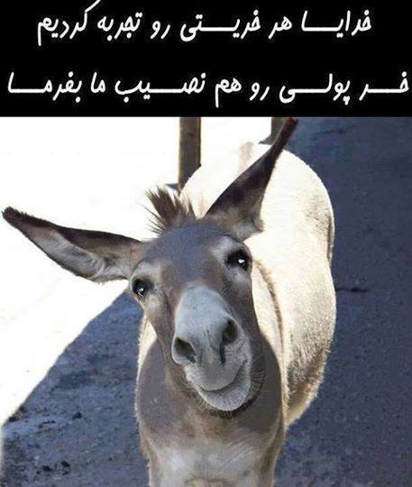 انجمن خران ایران