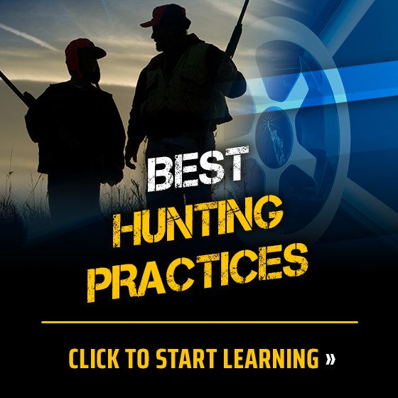 Liberty Safe - As more Americans embrace outdoor...