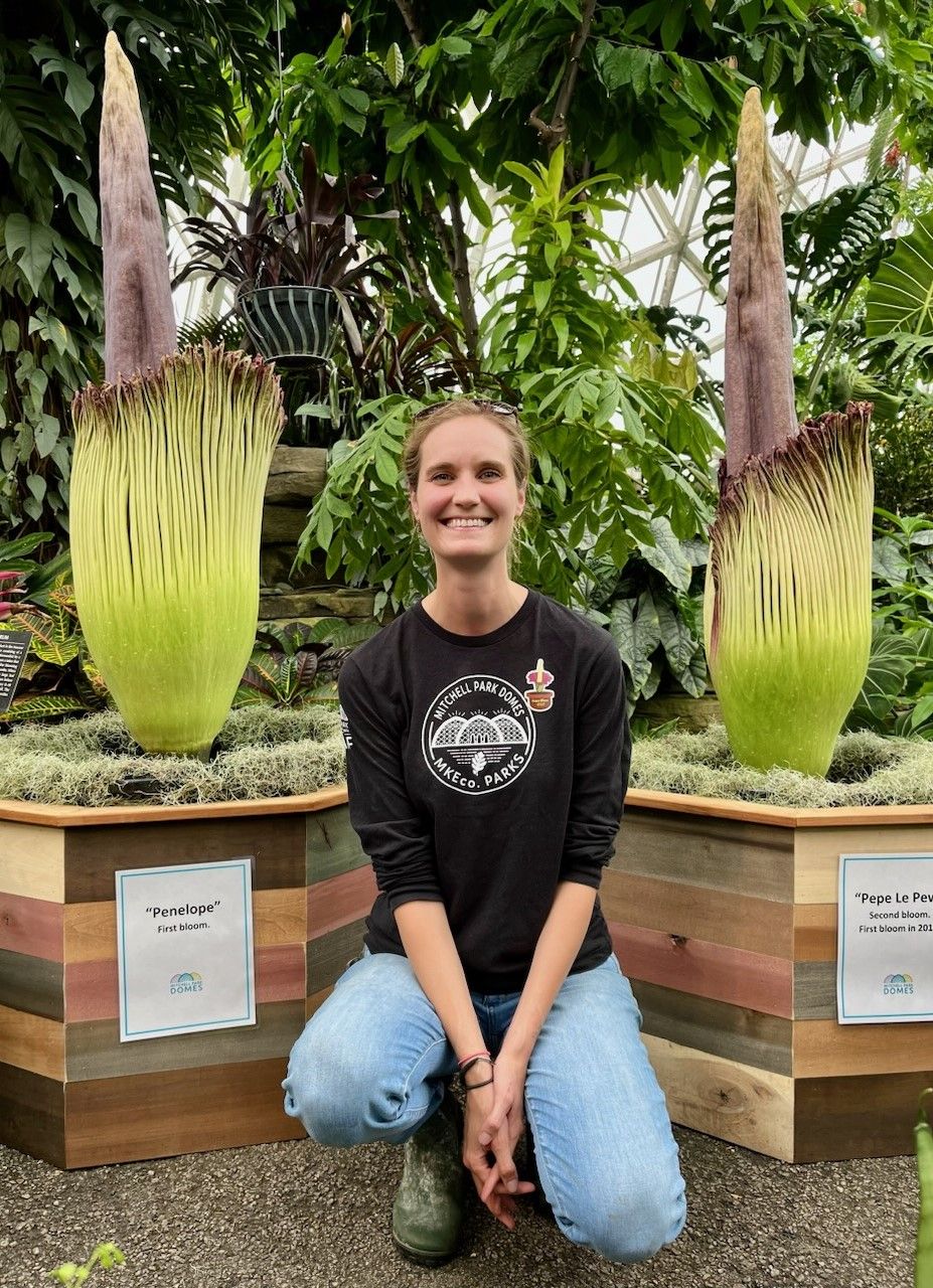A rare moment with a rare flower— and you'll have just 24 to 48