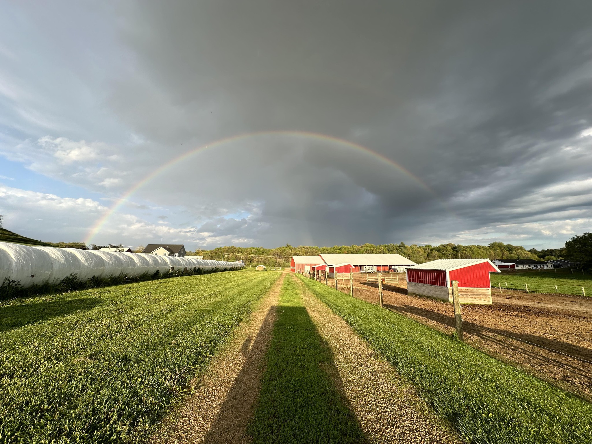 Rough Cut Ranch | Reedsburg WI