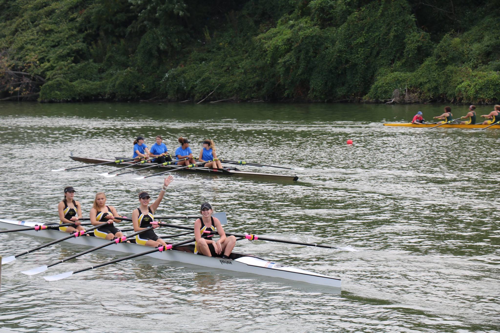 NA Rowing - The North Allegheny Tigers made their 2017 –... | Facebook