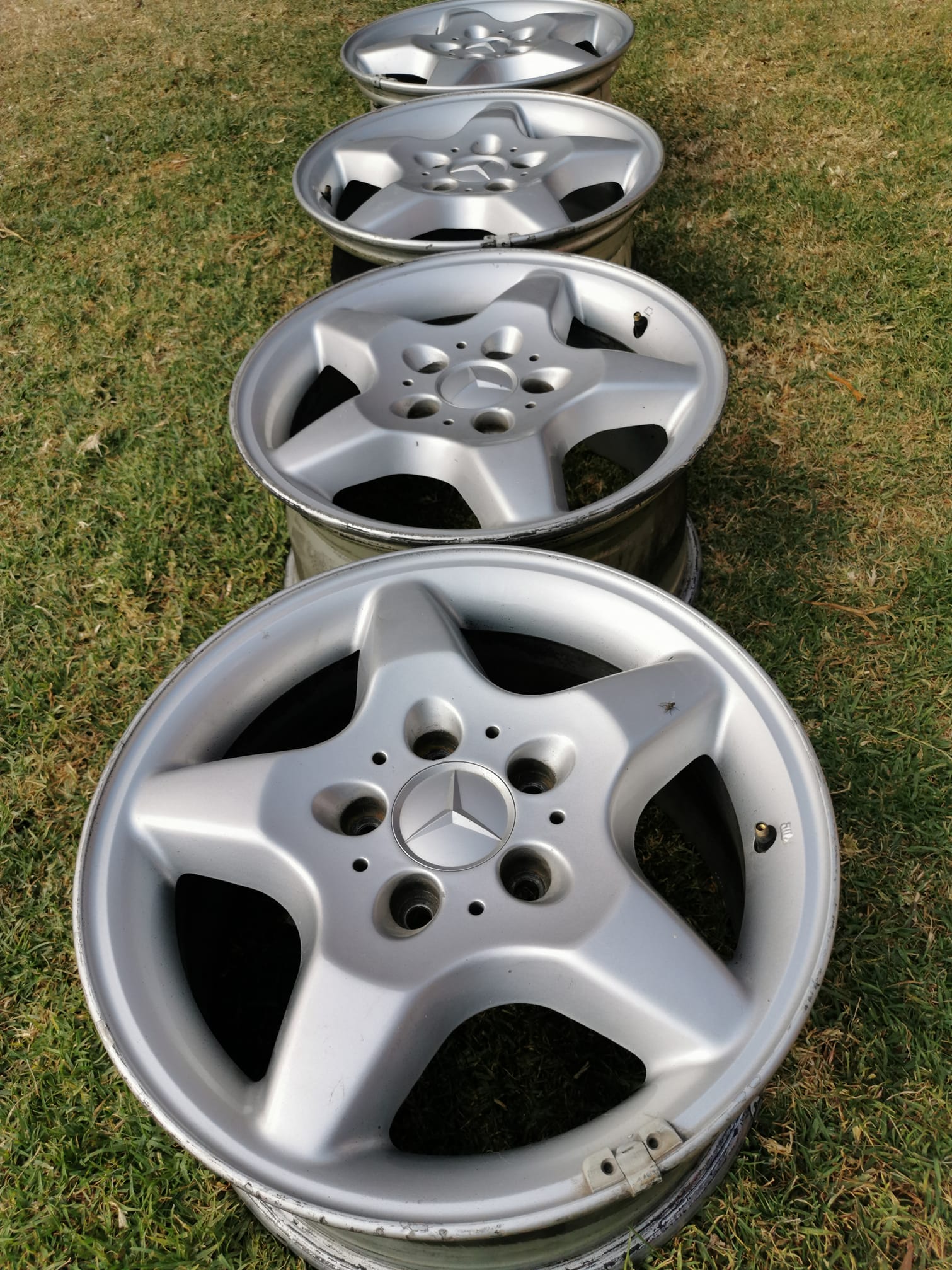 Rines OEM WagenArmy