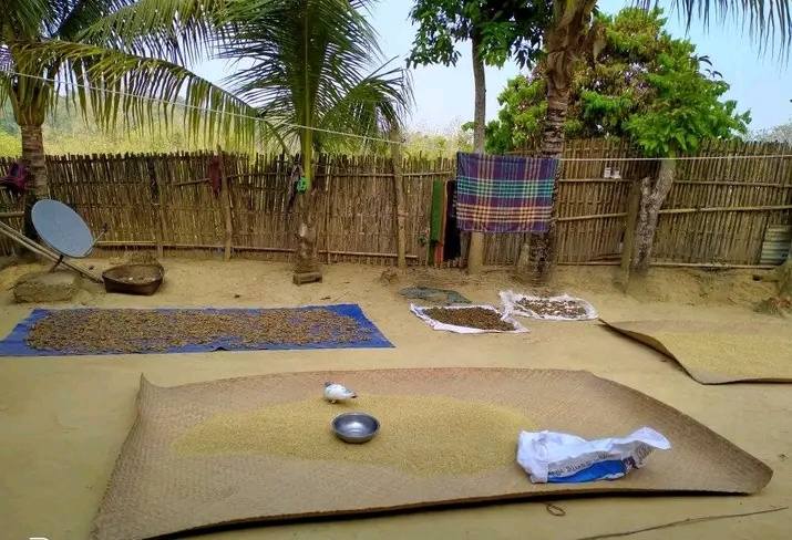 Eti Rani Tripura