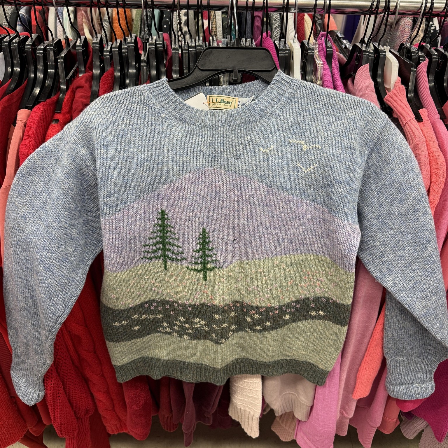 A vintage LL Bean wool sweater at the thrift store is basically a 
